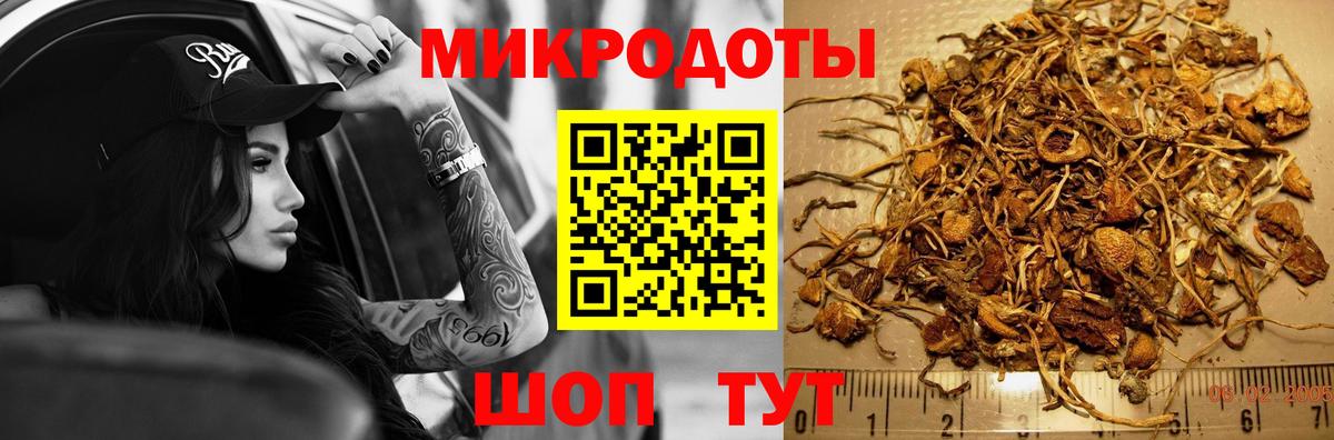 Псилоцибиновые грибы GOLDEN TEACHER  Вход с VPN  Конаково  Галлюциногенные грибы мухоморы 